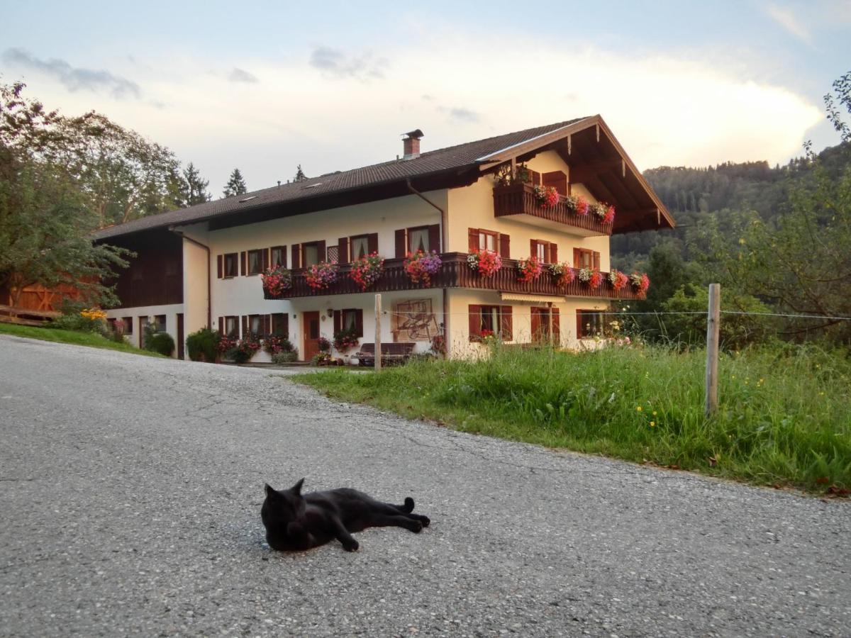 Weberhof Apartment Samerberg Exterior photo